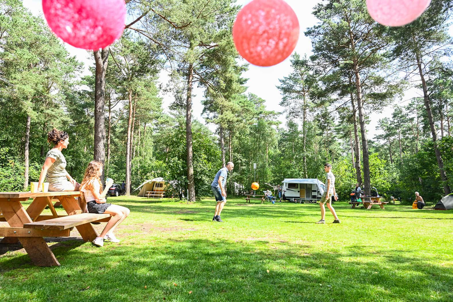 Forest pitch