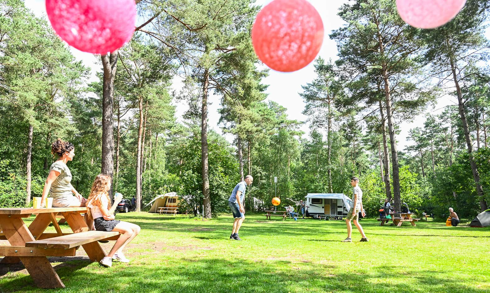 Header afbeelding